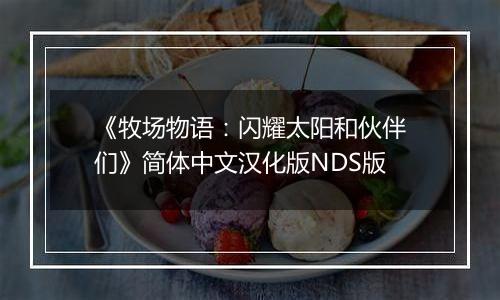 《牧场物语：闪耀太阳和伙伴们》简体中文汉化版NDS版