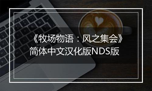 《牧场物语：风之集会》简体中文汉化版NDS版