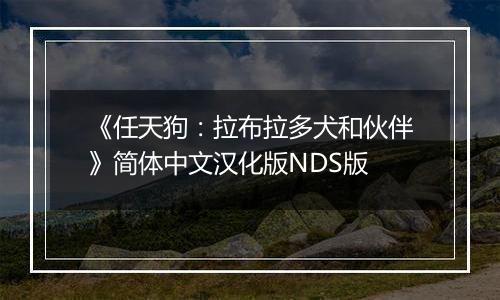 《任天狗：拉布拉多犬和伙伴》简体中文汉化版NDS版