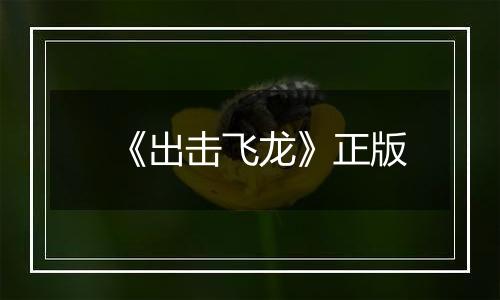 《出击飞龙》正版