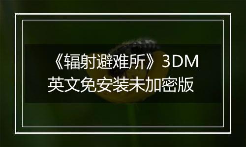 《辐射避难所》3DM英文免安装未加密版