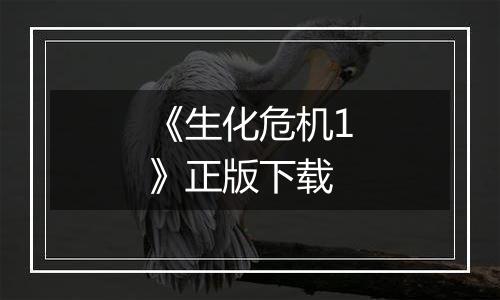 《生化危机1》正版下载