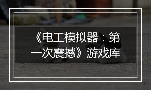 《电工模拟器：第一次震撼》游戏库