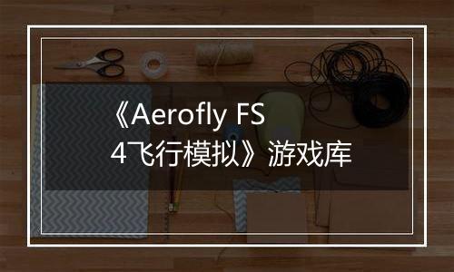 《Aerofly FS 4飞行模拟》游戏库