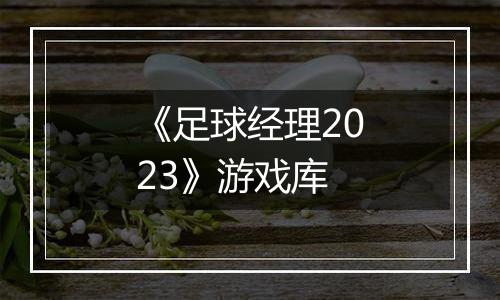 《足球经理2023》游戏库