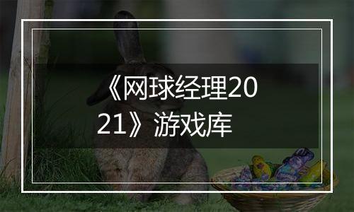 《网球经理2021》游戏库