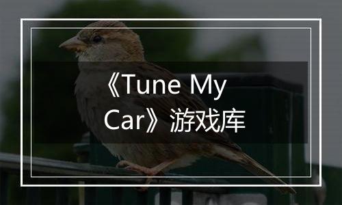 《Tune My Car》游戏库