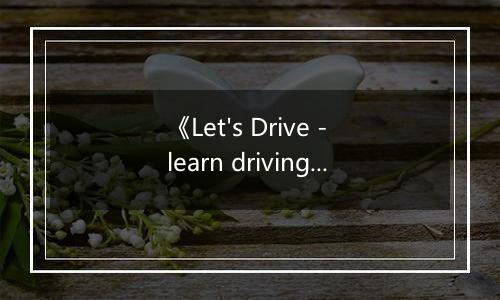 《Let's Drive - learn driving simulator》游戏库