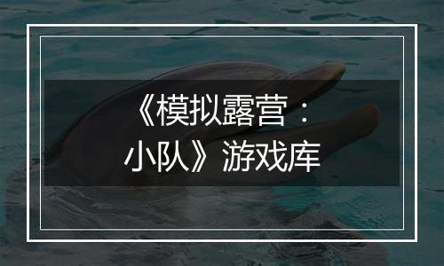 《模拟露营：小队》游戏库