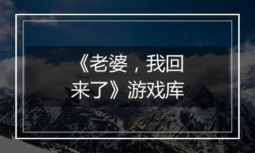 《老婆，我回来了》游戏库