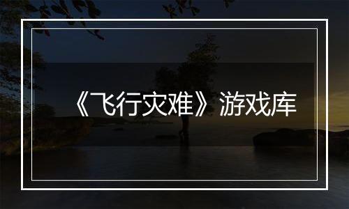 《飞行灾难》游戏库