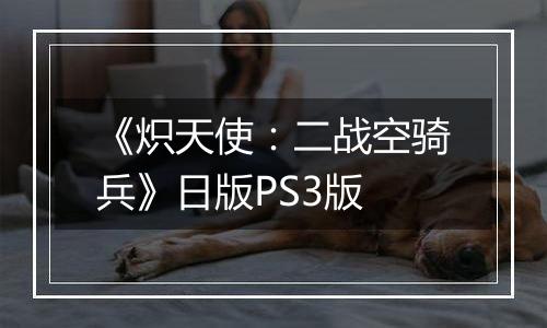 《炽天使：二战空骑兵》日版PS3版