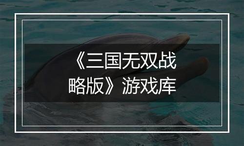 《三国无双战略版》游戏库