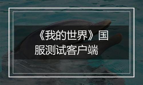 《我的世界》国服测试客户端