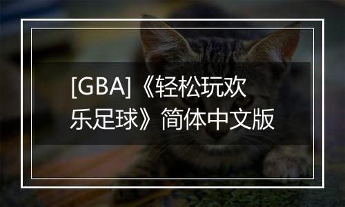 [GBA]《轻松玩欢乐足球》简体中文版