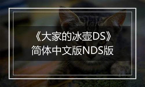 《大家的冰壶DS》简体中文版NDS版