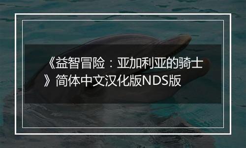 《益智冒险：亚加利亚的骑士》简体中文汉化版NDS版