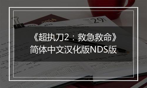 《超执刀2：救急救命》简体中文汉化版NDS版