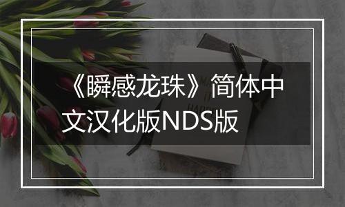 《瞬感龙珠》简体中文汉化版NDS版