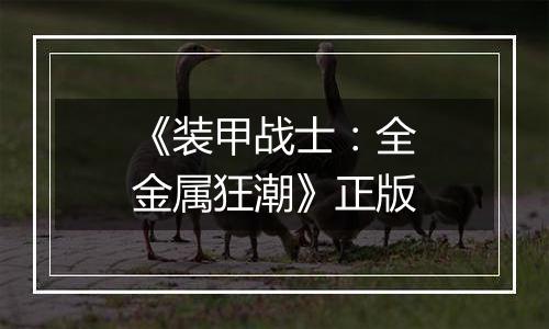 《装甲战士：全金属狂潮》正版