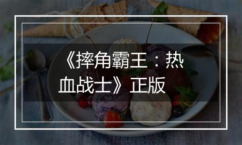《摔角霸王：热血战士》正版