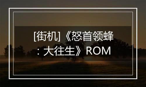 [街机]《怒首领蜂：大往生》ROM