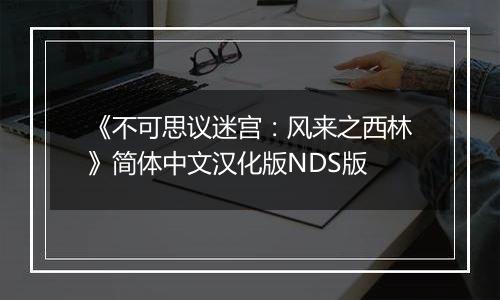 《不可思议迷宫：风来之西林》简体中文汉化版NDS版