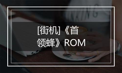 [街机]《首领蜂》ROM