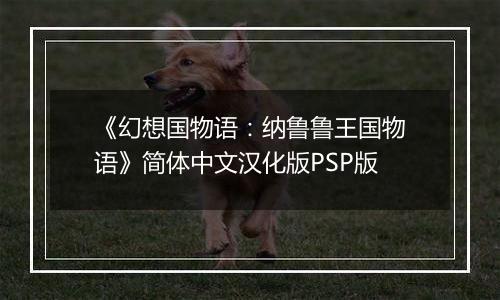 《幻想国物语：纳鲁鲁王国物语》简体中文汉化版PSP版