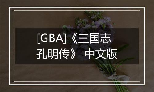 [GBA]《三国志孔明传》 中文版