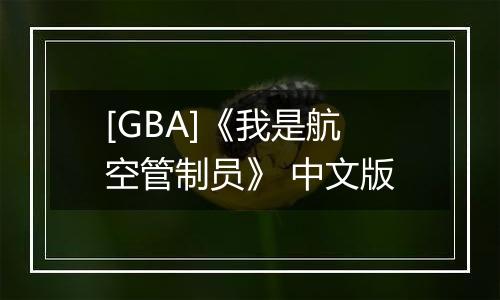 [GBA]《我是航空管制员》 中文版