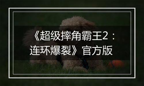 《超级摔角霸王2：连环爆裂》官方版
