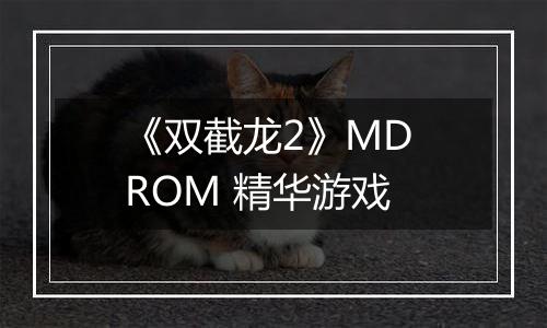 《双截龙2》MD ROM 精华游戏
