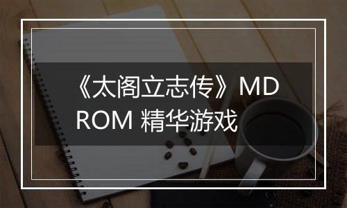 《太阁立志传》MD ROM 精华游戏