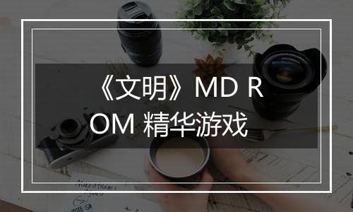 《文明》MD ROM 精华游戏