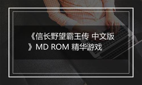 《信长野望霸王传 中文版》MD ROM 精华游戏