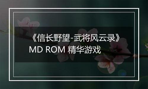 《信长野望-武将风云录》MD ROM 精华游戏