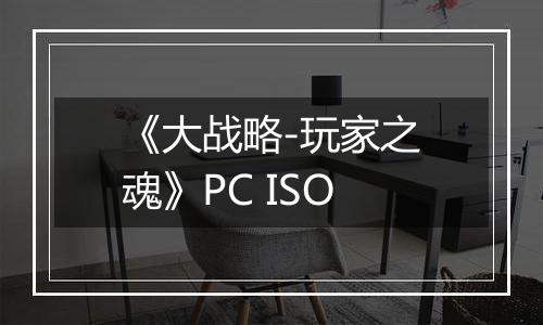 《大战略-玩家之魂》PC ISO