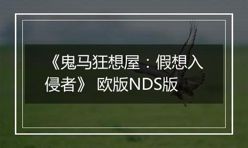 《鬼马狂想屋：假想入侵者》 欧版NDS版