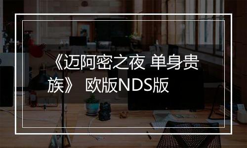 《迈阿密之夜 单身贵族》 欧版NDS版