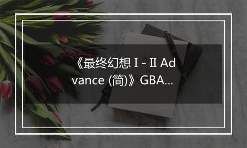 《最终幻想 I - II Advance (简)》GBA ROM 中文版
