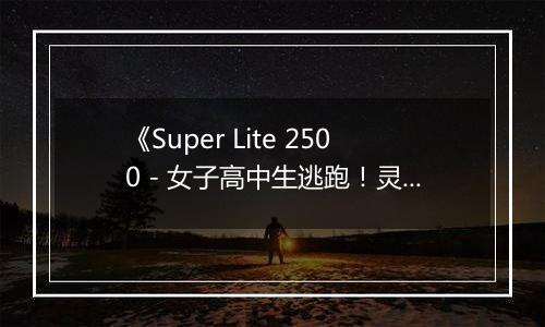 《Super Lite 2500 - 女子高中生逃跑！灵异解谜学园》 日版NDS版
