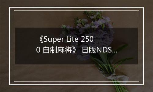 《Super Lite 2500 自制麻将》 日版NDS版