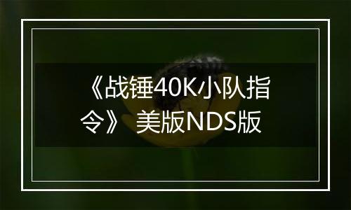 《战锤40K小队指令》 美版NDS版