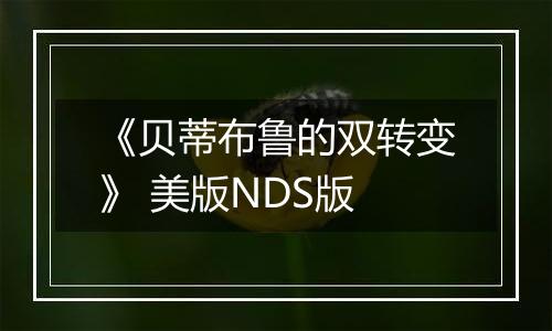 《贝蒂布鲁的双转变》 美版NDS版