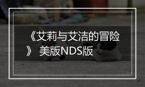 《艾莉与艾洁的冒险》 美版NDS版