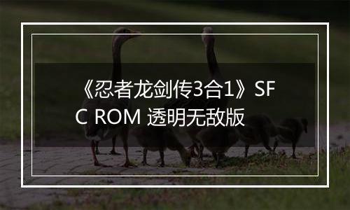 《忍者龙剑传3合1》SFC ROM 透明无敌版