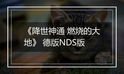 《降世神通 燃烧的大地》 德版NDS版
