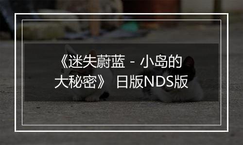 《迷失蔚蓝 - 小岛的大秘密》 日版NDS版