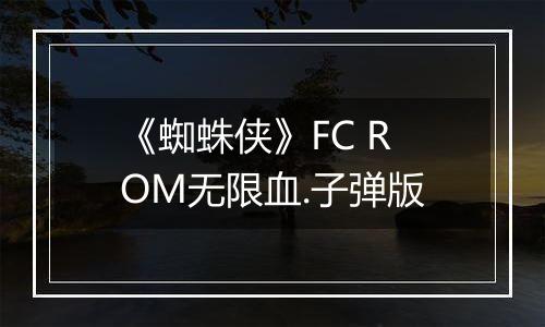 《蜘蛛侠》FC ROM无限血.子弹版